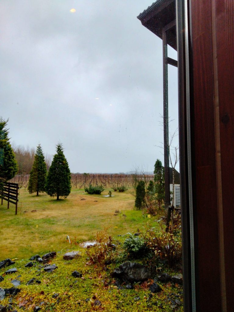 ブックカフェテラスからの眺め