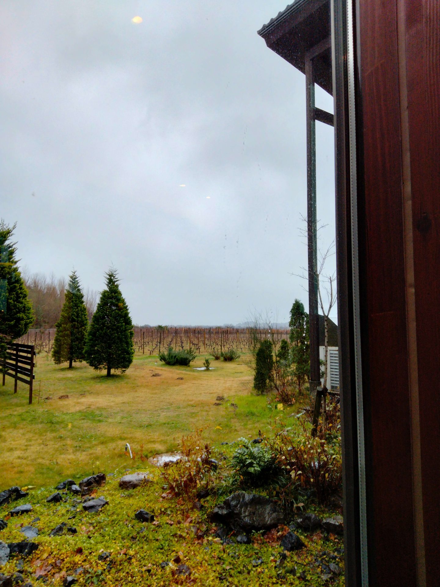 ブックカフェテラスからの眺め