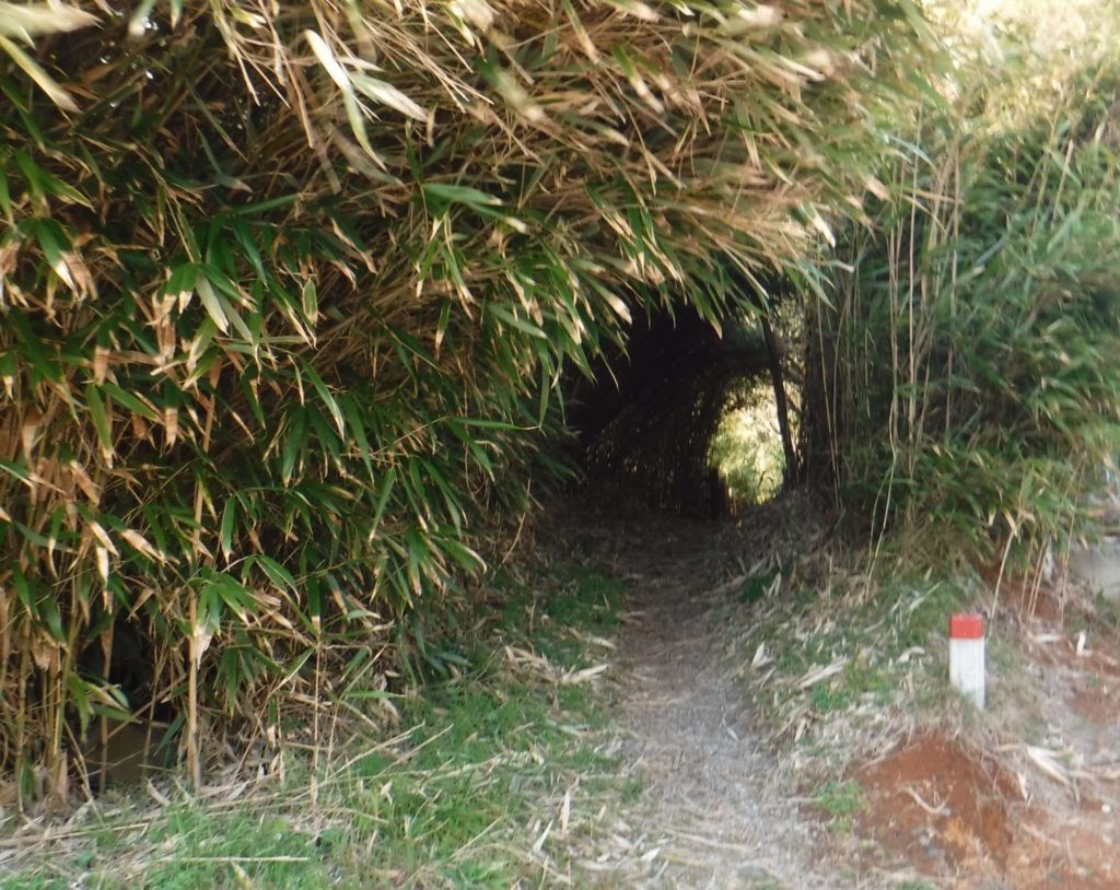 佐渡・宿根木のジブリ的小道